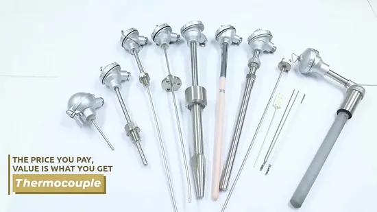 PT100 Temperature Sensor Rtd Sensor Armored Assembly Thermocouple with Ceramic Protection Tube 